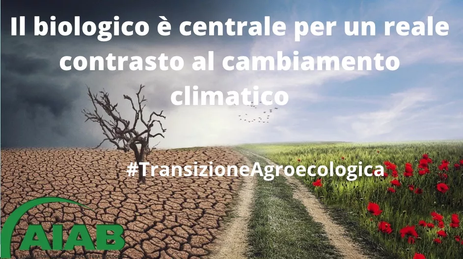 L’Aiab e la Protesta degli Agricoltori: Analisi e Riflessioni sull’Agricoltura Contemporanea 20240209 142121