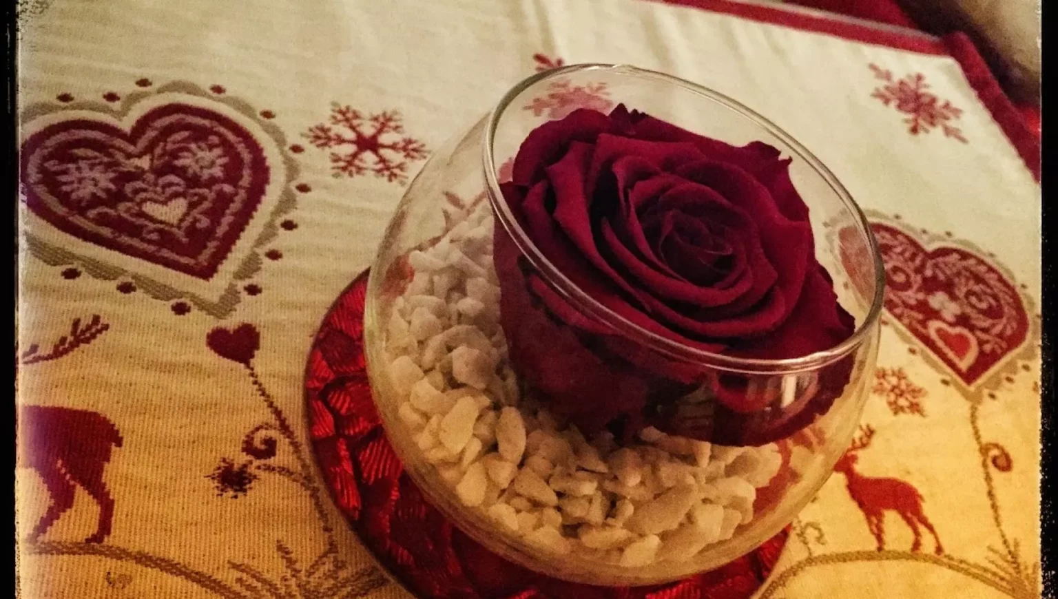 La rosa: simbolo millenario tra passione e tradizioni culinarie 20240215 085248