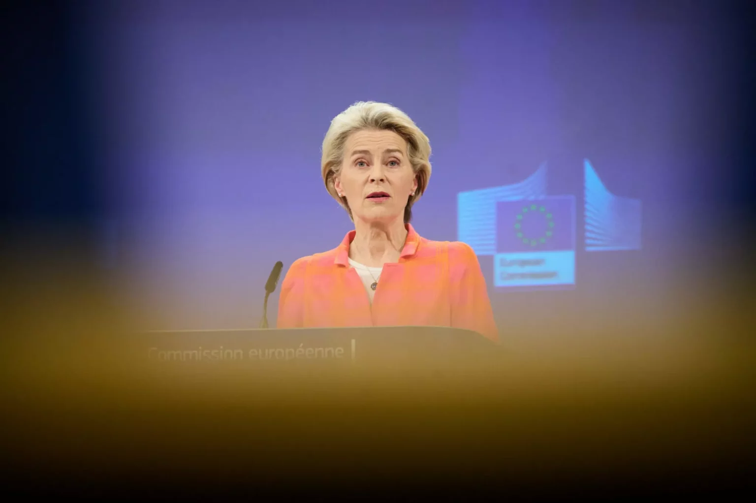Risposta europea al rischio: variazioni e discrepanze nell’Unione Europea 20240220 060349