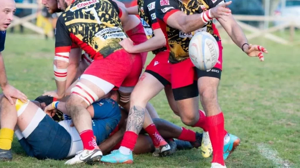 Fiorini Pesaro trionfa contro Villorba nel match dominato 20240227 213436