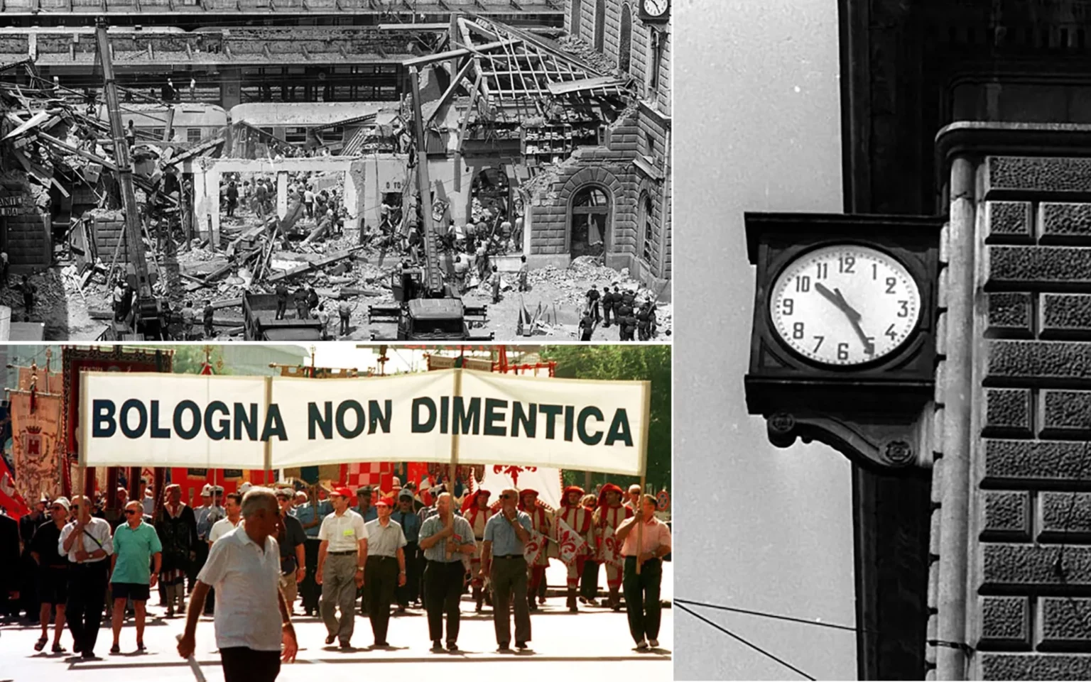 La protesta di Bologna e il caso di Claudio Galassi: una riflessione sulla difesa del verde urbano 20240404 232539