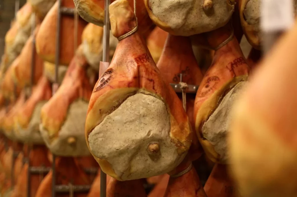 La Carpegna Prosciutto Pesaro: alla ricerca disperata di un nuovo centro e le sfide della selezione 20240412 110614