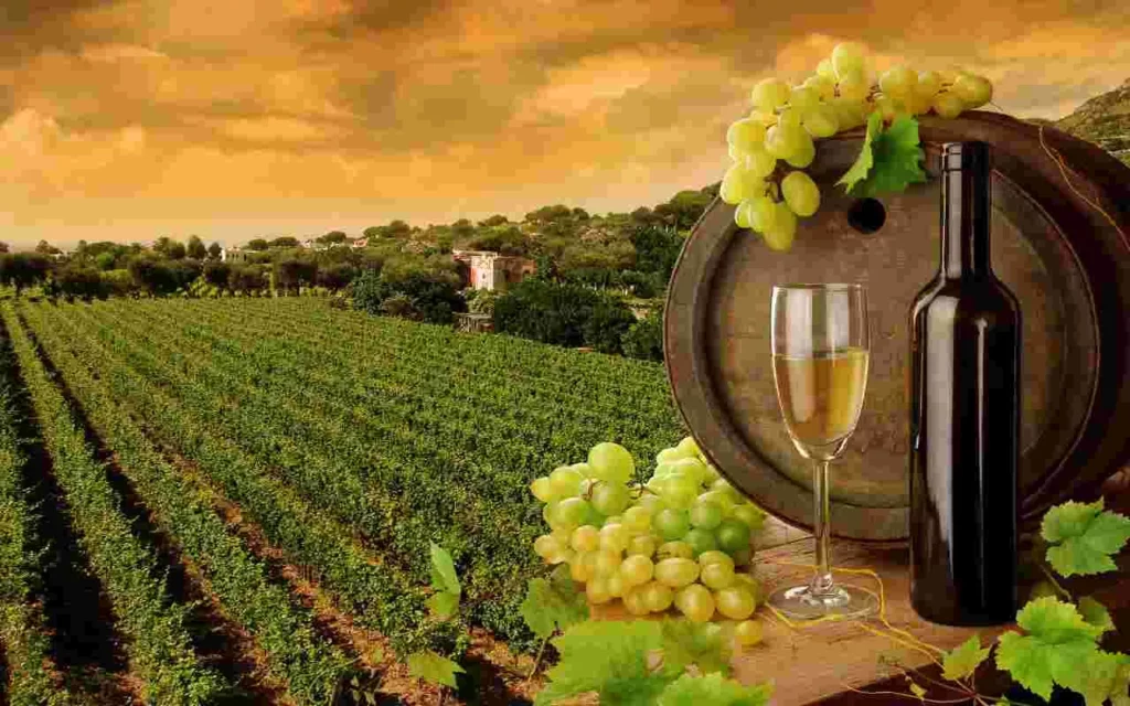 Vinitaly 2024: Celebrazione della Tradizione e dell’Innovazione nel Mondo del Vino Italiano 20240416 184829