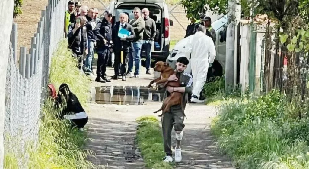 Tragedia a Eboli: Bambino di 15 Mesi Morto per l’Attacco di Due Pitbull 20240422 184430