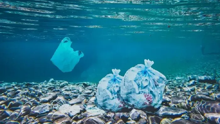 L’inquietante presenza della plastica negli abissi marini: uno studio rivela dati allarmanti